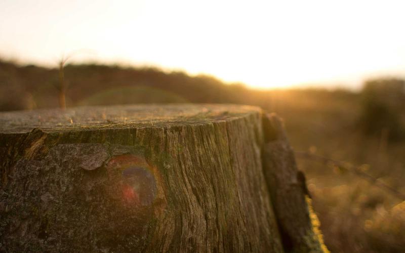 Unleash Your Inner Cowboy: The Ultimate 'Urban Rodeo' Style Guide for 2026